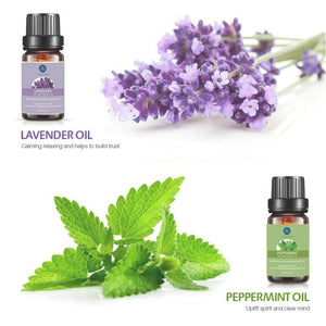 6pk. Essential Oils for Diffusers